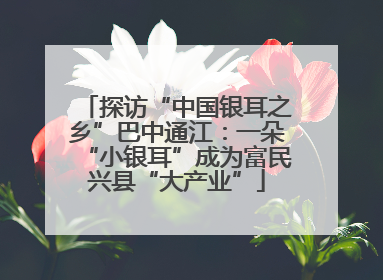 探访“中国银耳之乡”巴中通江：一朵“小银耳”成为富民兴县“大产业”
