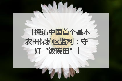 探访中国首个基本农田保护区监利：守好“饭碗田”