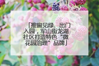 推窗见绿、出门入园，军山街龙湖社区打造特色“微花园治理”品牌