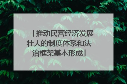 推动民营经济发展壮大的制度体系和法治框架基本形成