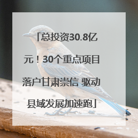 总投资30.8亿元！30个重点项目落户甘肃崇信 驱动县域发展加速跑