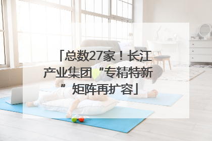 总数27家！长江产业集团“专精特新”矩阵再扩容