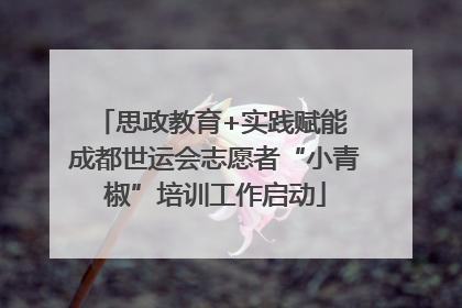 思政教育+实践赋能 成都世运会志愿者“小青椒”培训工作启动