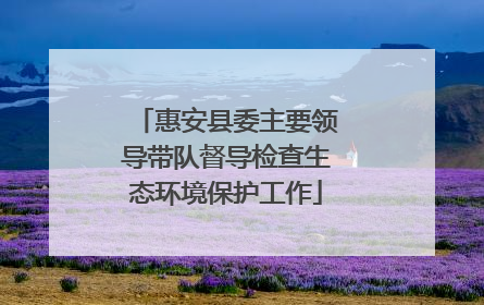 惠安县委主要领导带队督导检查生态环境保护工作