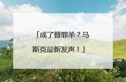 成了替罪羊？马斯克最新发声！