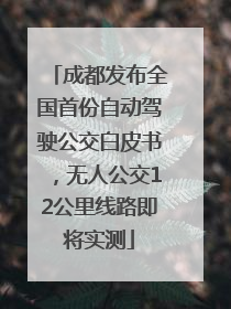 成都发布全国首份自动驾驶公交白皮书，无人公交12公里线路即将实测