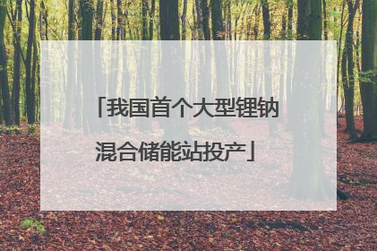 我国首个大型锂钠混合储能站投产