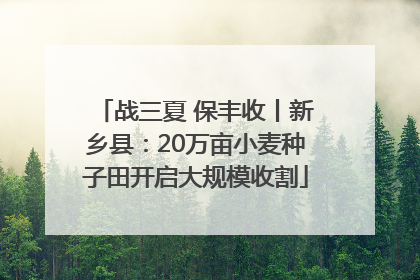战三夏 保丰收丨新乡县：20万亩小麦种子田开启大规模收割