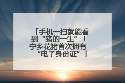 手机一扫就能看到“猪的一生”！宁乡花猪首次拥有“电子身份证”