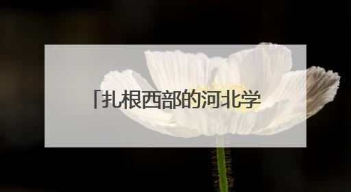 扎根西部的河北学子｜保定学院毕业生、新疆且末县第二中学教师黄小凤：《歌唱祖国》是她教会学生的第一首歌