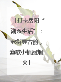 打卡岳阳“湖系生活”：老街寻古韵，渔歌小镇品烟火