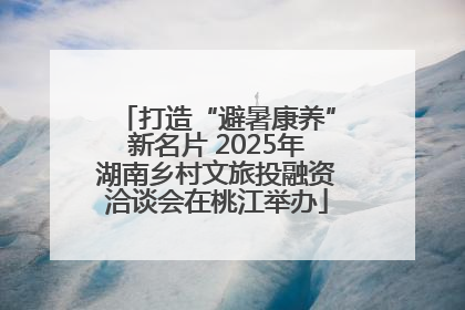 打造“避暑康养”新名片 2025年湖南乡村文旅投融资洽谈会在桃江举办