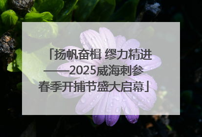 扬帆奋楫 缪力精进——2025威海刺参春季开捕节盛大启幕