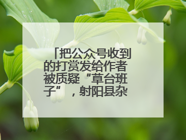 把公众号收到的打赏发给作者被质疑“草台班子”，射阳县杂文学会回应