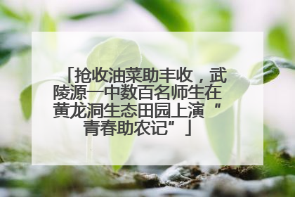 抢收油菜助丰收，武陵源一中数百名师生在黄龙洞生态田园上演“青春助农记”