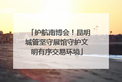 护航南博会！昆明城管坚守展馆守护文明有序交易环境