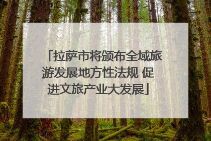 拉萨市将颁布全域旅游发展地方性法规 促进文旅产业大发展