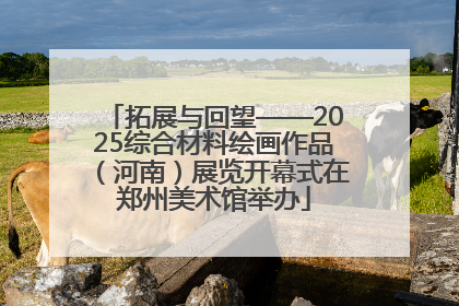 拓展与回望——2025综合材料绘画作品（河南）展览开幕式在郑州美术馆举办