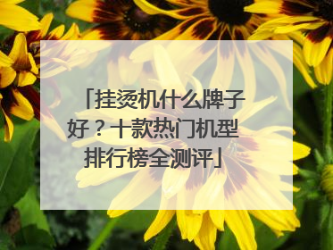 挂烫机什么牌子好？十款热门机型排行榜全测评