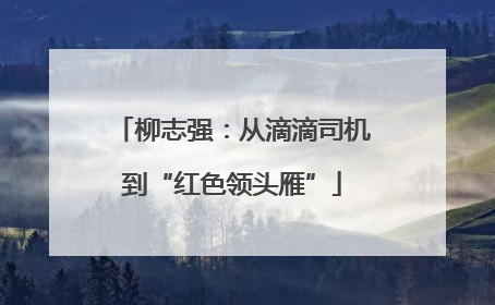 柳志强：从滴滴司机到“红色领头雁”