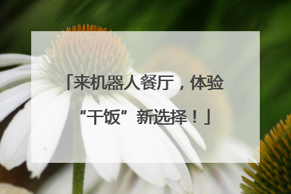 来机器人餐厅，体验“干饭”新选择！