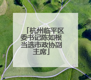 杭州临平区委书记陈如根当选市政协副主席