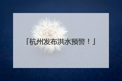 杭州发布洪水预警！