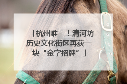 杭州唯一！清河坊历史文化街区再获一块“金字招牌”