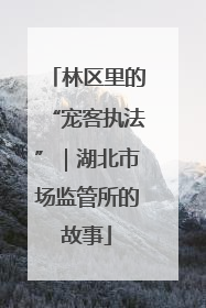 林区里的“宠客执法”｜湖北市场监管所的故事