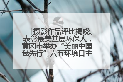 摄影作品评比揭晓、表彰最美基层环保人，黄冈市举办“美丽中国我先行”六五环境日主题宣传活动