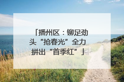 播州区：铆足劲头“抢春光”全力拼出“首季红”