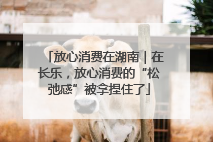放心消费在湖南｜在长乐，放心消费的“松弛感”被拿捏住了