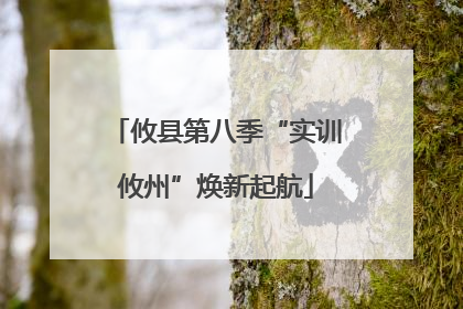 攸县第八季“实训攸州”焕新起航