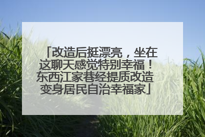 改造后挺漂亮，坐在这聊天感觉特别幸福！东西江家巷经提质改造变身居民自治幸福家