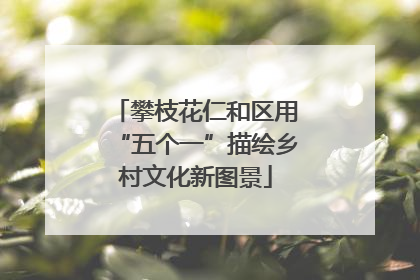 攀枝花仁和区用“五个一”描绘乡村文化新图景