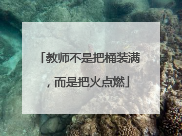 教师不是把桶装满，而是把火点燃