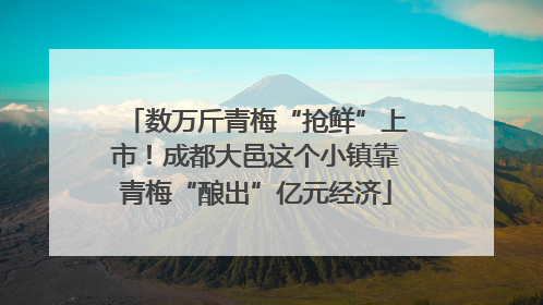 数万斤青梅“抢鲜”上市！成都大邑这个小镇靠青梅“酿出”亿元经济