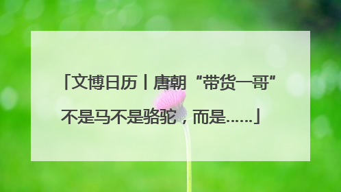 文博日历丨唐朝“带货一哥”不是马不是骆驼，而是……