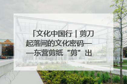 文化中国行｜剪刀起落间的文化密码——东营剪纸“剪”出非遗传承与现代生活的融合之道