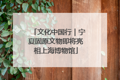 文化中国行｜宁夏固原文物即将亮相上海博物馆