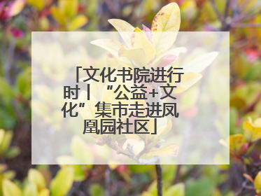 文化书院进行时丨“公益+文化”集市走进凤凰园社区