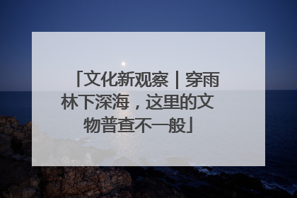文化新观察｜穿雨林下深海，这里的文物普查不一般