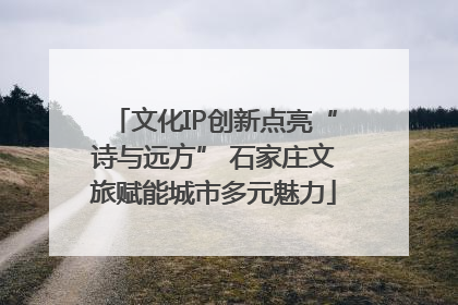文化IP创新点亮“诗与远方” 石家庄文旅赋能城市多元魅力