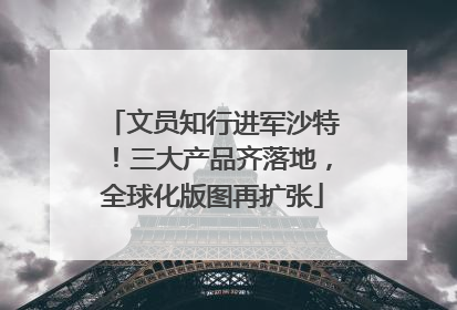 文员知行进军沙特！三大产品齐落地，全球化版图再扩张