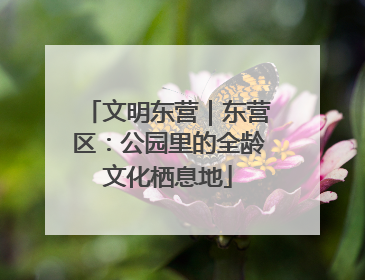 文明东营｜东营区：公园里的全龄文化栖息地