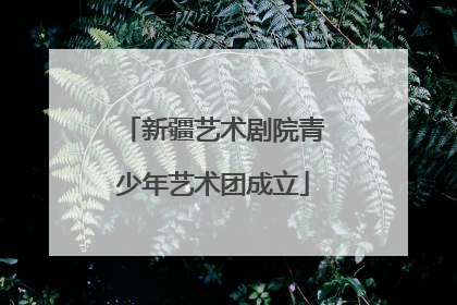 新疆艺术剧院青少年艺术团成立