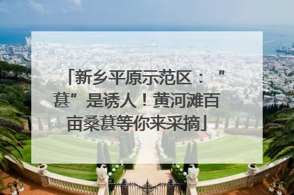 新乡平原示范区：“葚”是诱人！黄河滩百亩桑葚等你来采摘