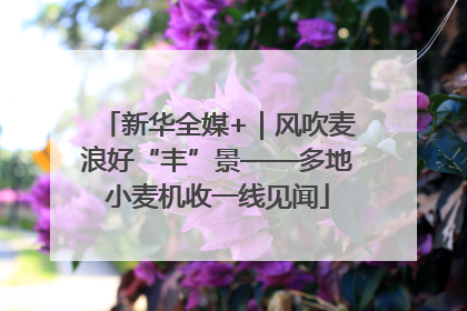 新华全媒+｜风吹麦浪好“丰”景——多地小麦机收一线见闻