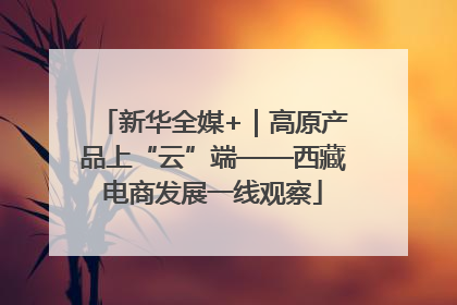 新华全媒+｜高原产品上“云”端——西藏电商发展一线观察