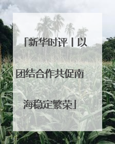 新华时评丨以团结合作共促南海稳定繁荣